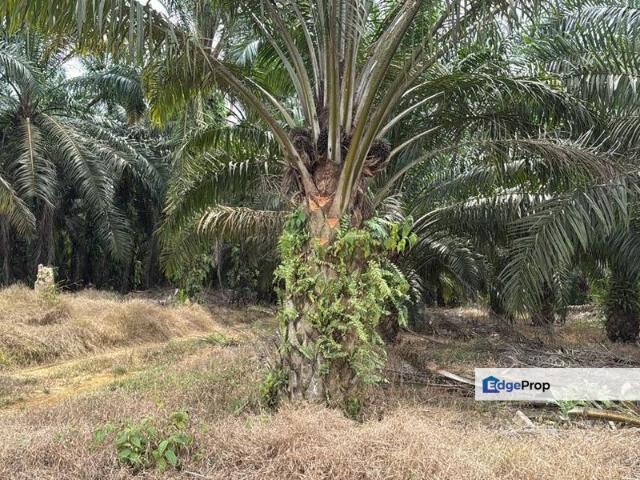 Shop for sale in Kulai, Johor