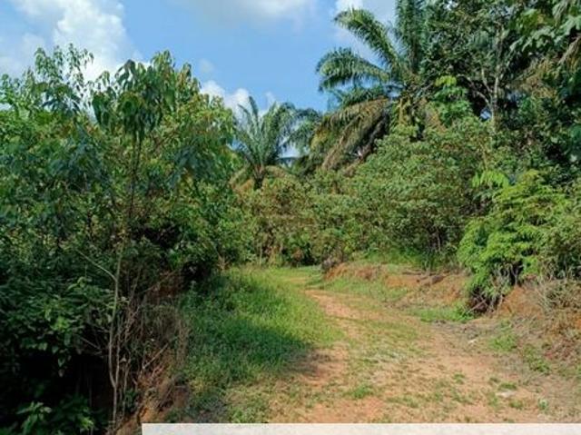 Shop for sale in Kulai, Johor