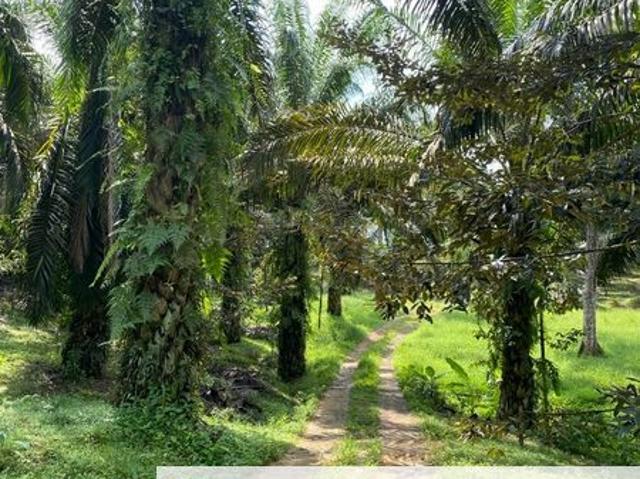 Shop for sale in Kulai, Johor