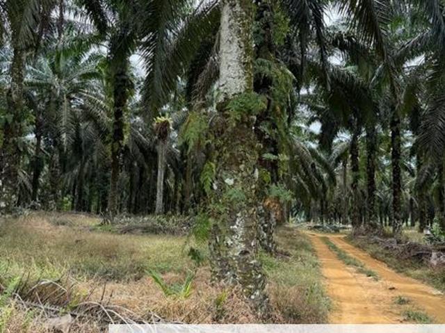Shop for sale in Kulai, Johor