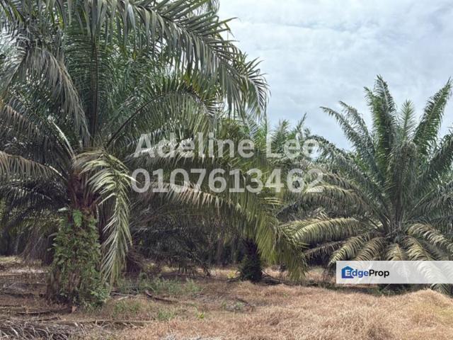 Shop for sale in Kulai, Johor