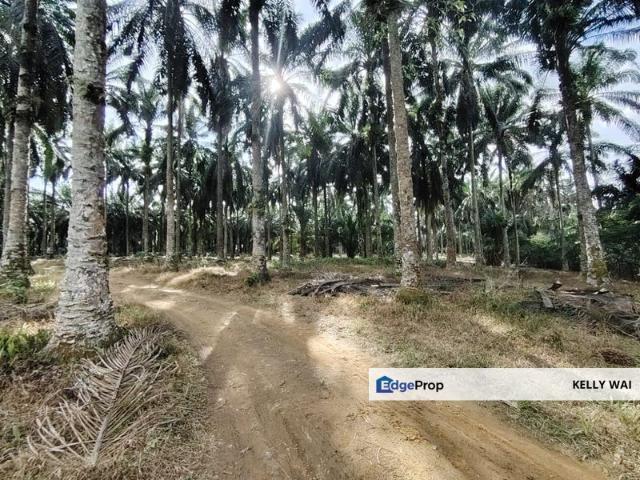 Warehouse for sale in Kulai, Johor