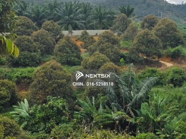 Property for sale in Johor