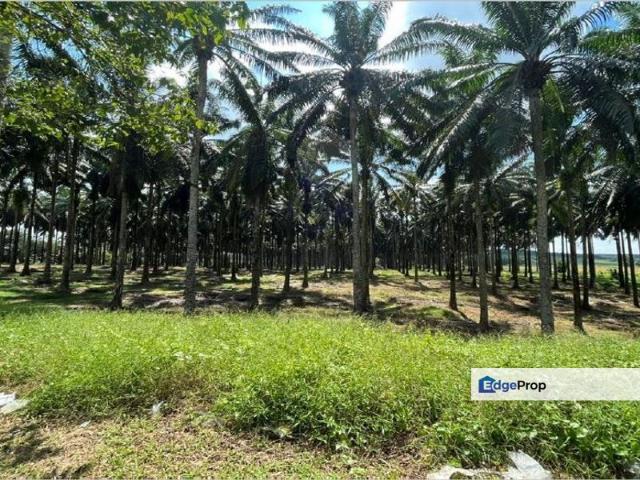 Warehouse for sale in Kulai, Johor