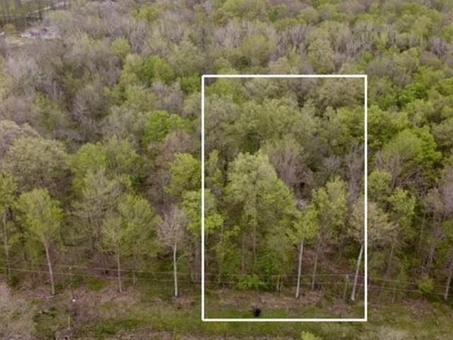Land for sale in Williams, Ohio