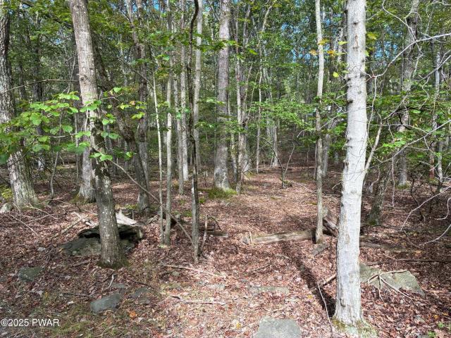 Land for sale in Milford, Pennsylvania