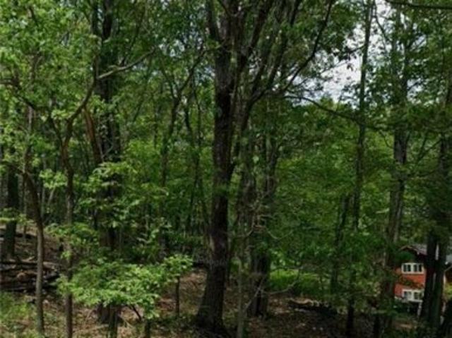 Land for sale in Mount Pocono, Pennsylvania