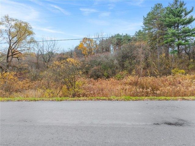 Land for sale in Trumansburg, New York