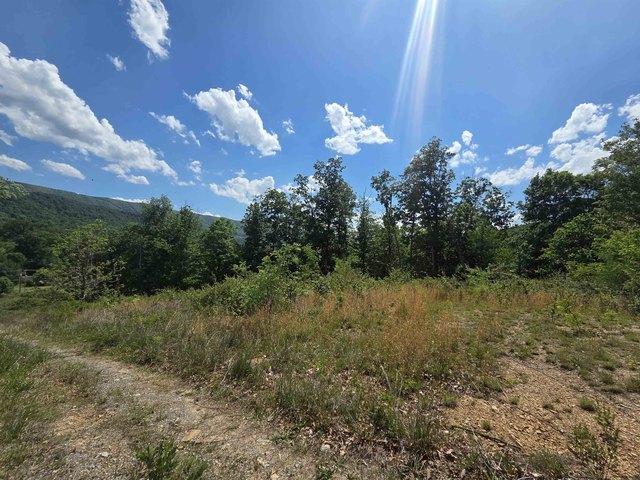 Land for sale in Peterstown, West Virginia
