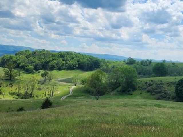 Land for sale in West Virginia