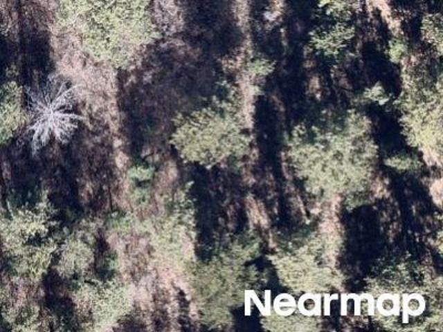 Land for sale in Colorado