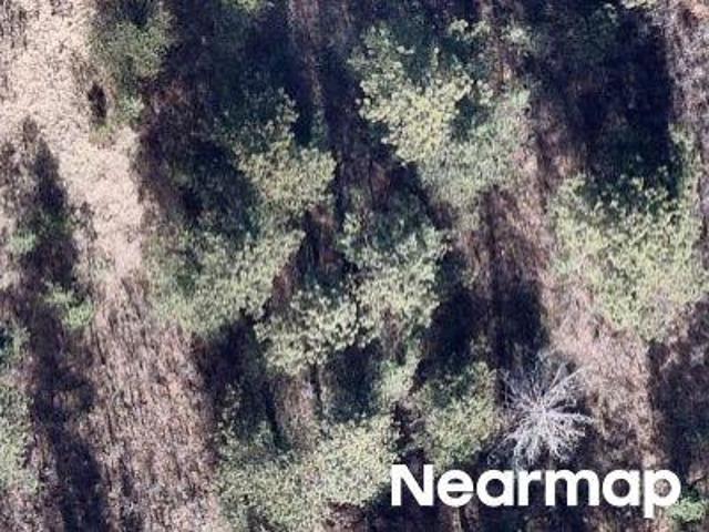 Land for sale in Colorado