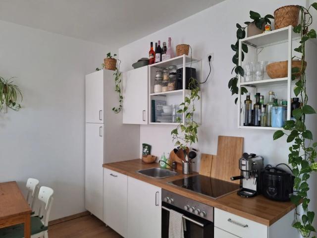 Apartment mieten in Siedlung Südost, Wien