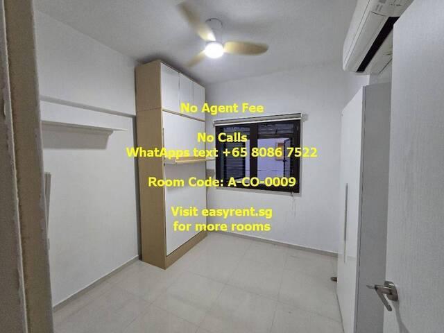 Room for rent