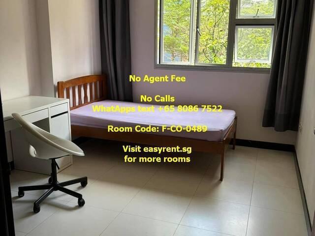 Room for rent