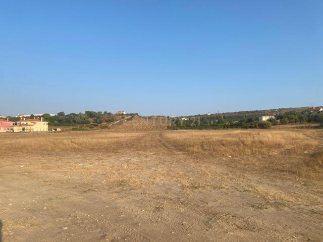 Terreno venda em Palmela (Noroeste), Palmela