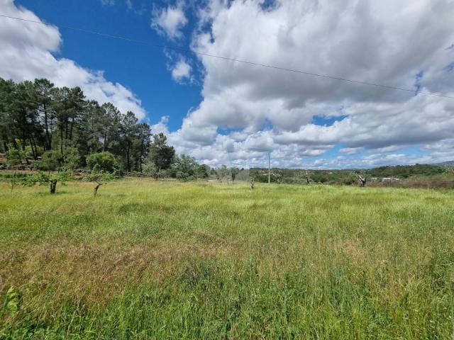 Quinta venda em Castelo Branco