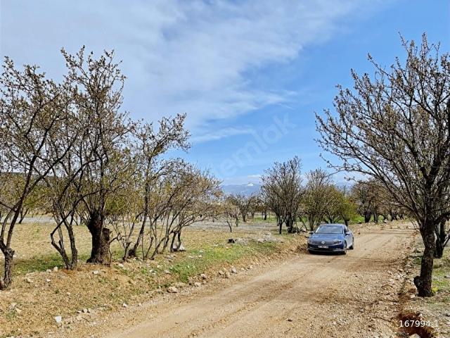 Kuyucak, Keçiborlu içerisinde satılık Arsa