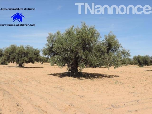 Propriété location