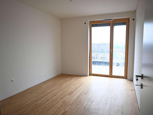 Apartment kaufen in Mistelbach, Bezirk Mistelbach