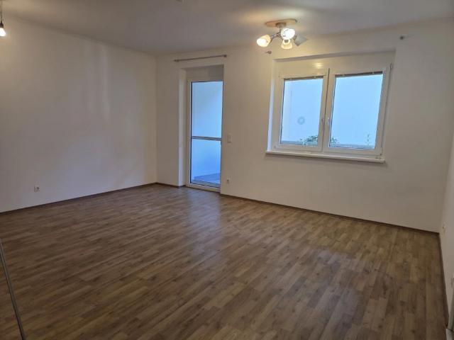 Apartment mieten in Miesenbach, Niederösterreich