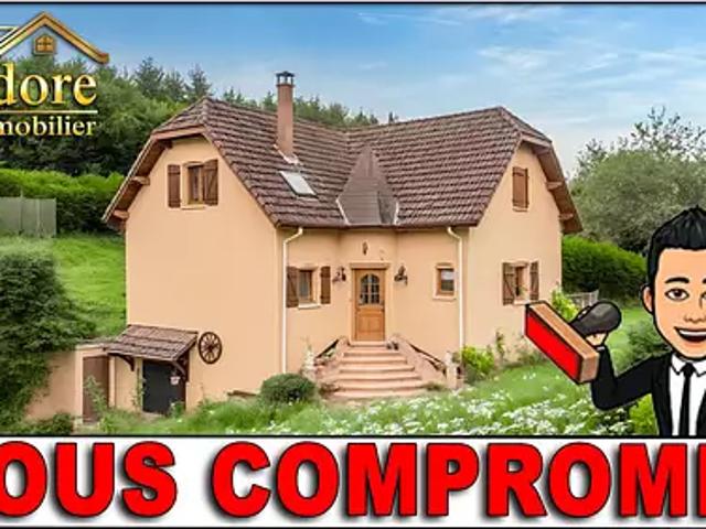 Maison vente à Saint-Dié-des-Vosges, Senones
