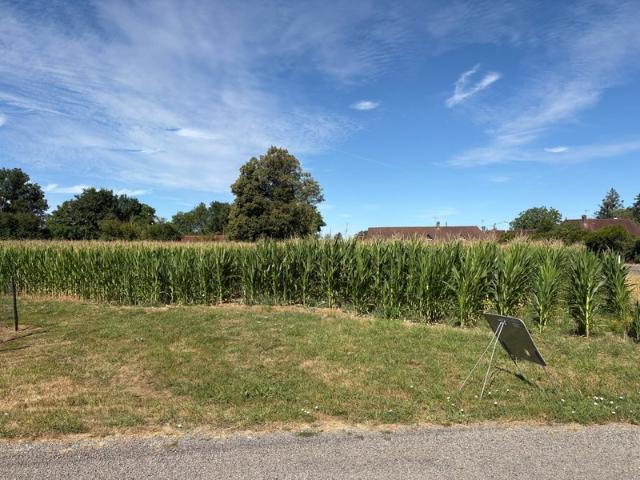 Terrain vente à Louhans-Châteaurenaud, Sens-sur-seille
