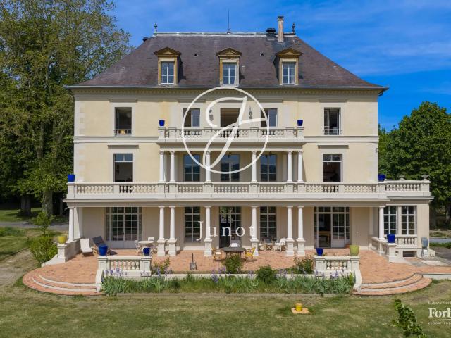 Château vente à Sens