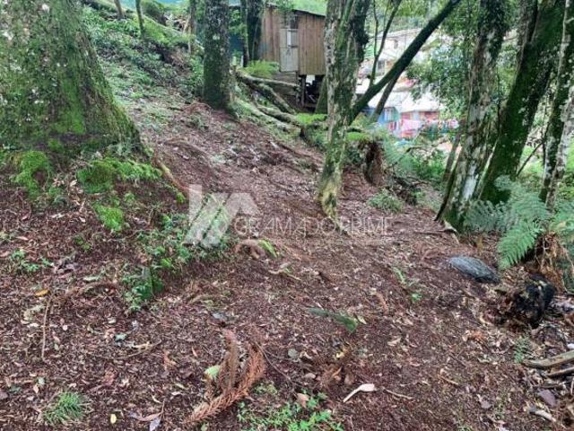 Terreno venda em Gramado