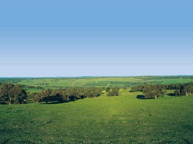 Land for sale in Gingin, Western Australia