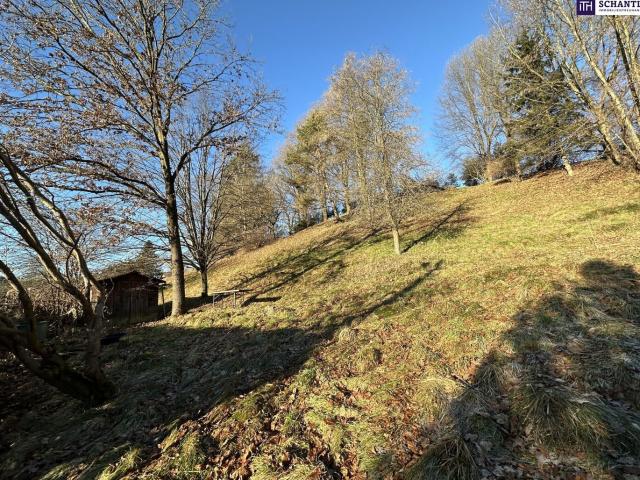 Grundstück kaufen in Fernitz, Steiermark