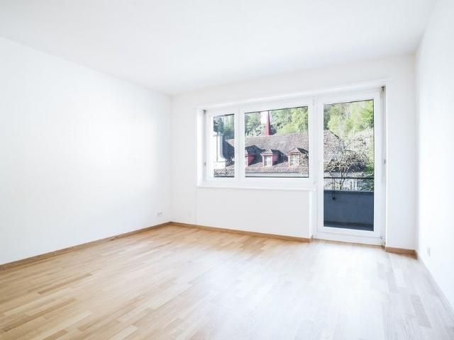 Apartment mieten in Kleinstadt, Luzern