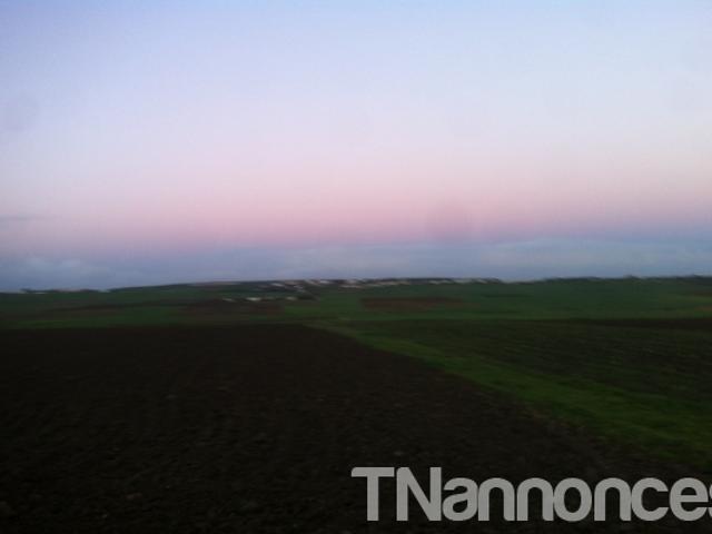 Terrain vente