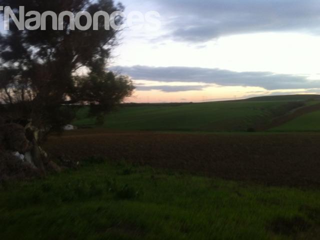 Terrain vente