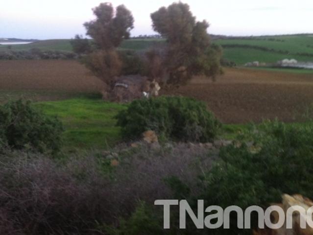 Terrain vente