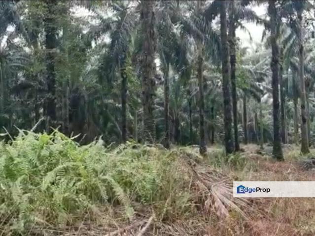 Commercial for sale in Selangor