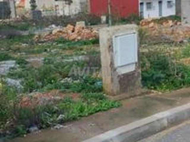 Propriété vente à Saf, L'Oriental