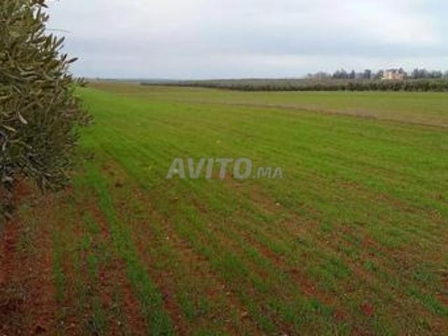 Propriété vente à Meknassa Al Gharbia مكناسة الغربية, Province de Taza إقليم تازة