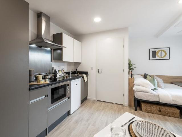 Apartment for rent in Calthorpe Fields, West Midlands