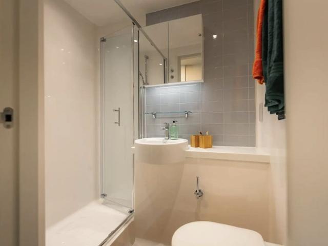 Studio for rent in The Meadows, Haddon
