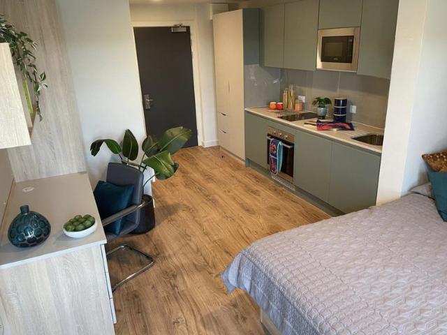 Studio for rent in The Meadows, Haddon