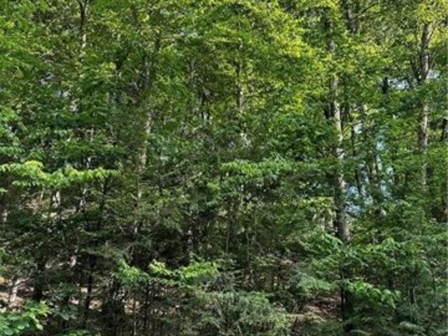 Land for sale in East Stroudsburg