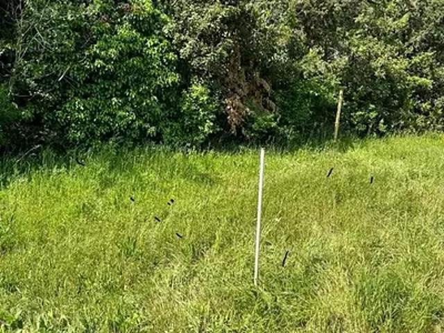 Terrain vente à France métropolitaine, Septèmes-les-vallons