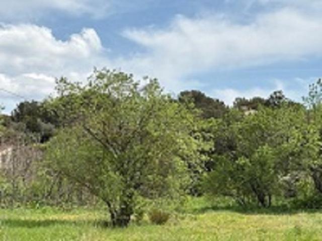 Terrain vente à France métropolitaine, Septèmes-les-vallons