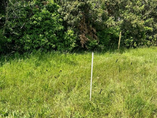 Terrain vente à France métropolitaine, Septèmes-les-vallons