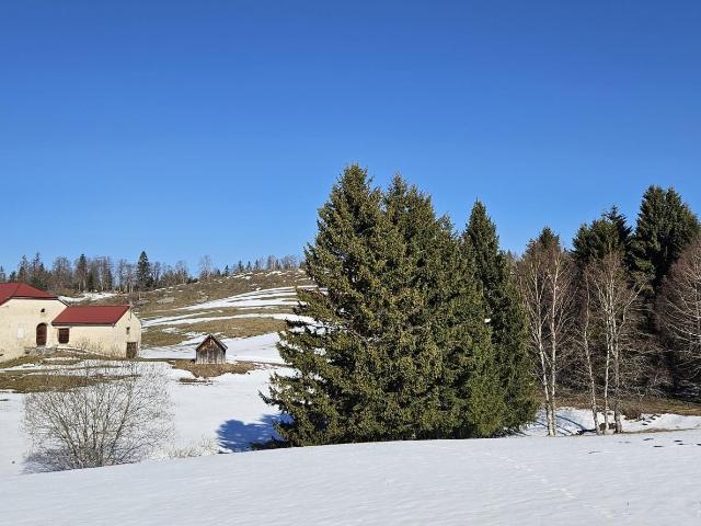 Maison vente à Saint-Claude, Septmoncel