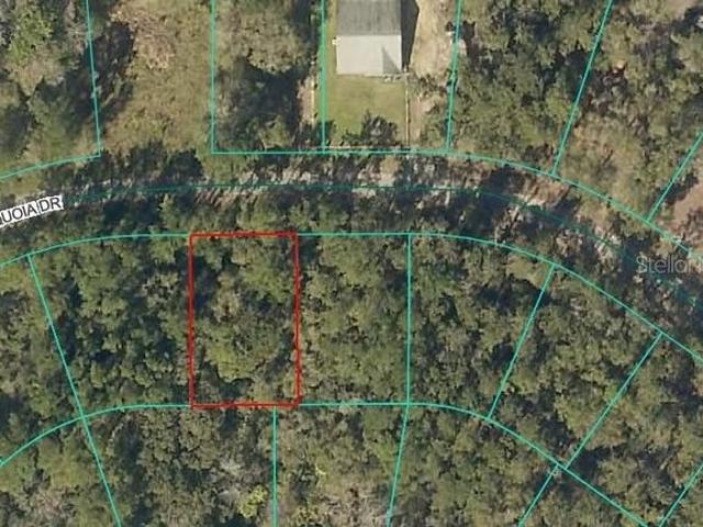 Land for sale in Ocklawaha, Florida