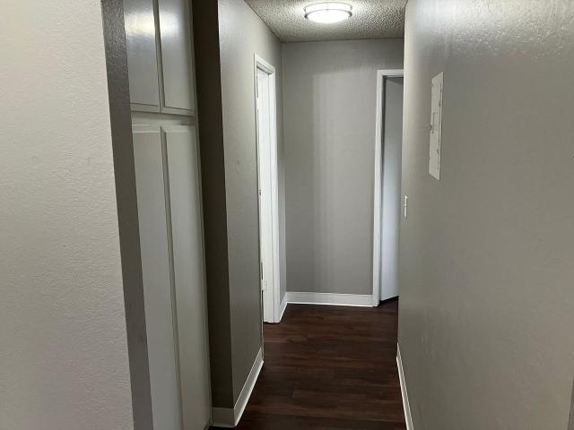 Apartment for rent in Bellevue, Washington