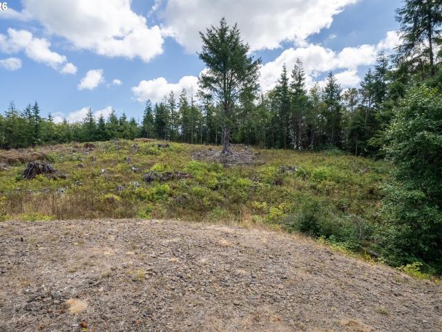 Land for sale in Netarts, Tillamook County