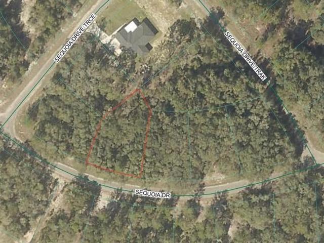 Land for sale in Ocklawaha, Florida